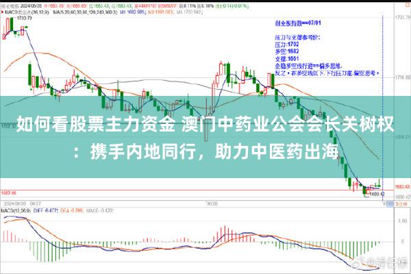 如何看股票主力资金 澳门中药业公会会长关树权：携手内地同行，助力中医药出海