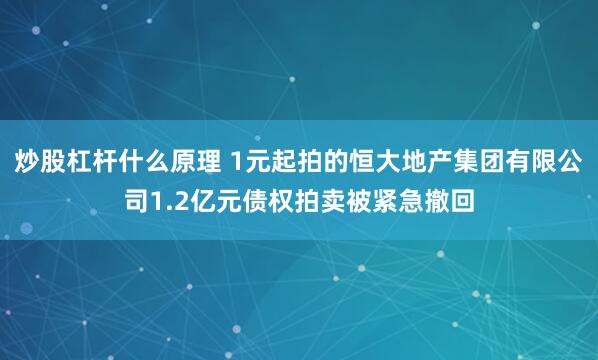 炒股杠杆什么原理 1元起拍的恒大地产集团有限公司1.2亿元债权拍卖被紧急撤回