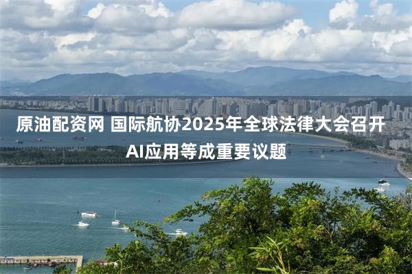 原油配资网 国际航协2025年全球法律大会召开  AI应用等成重要议题