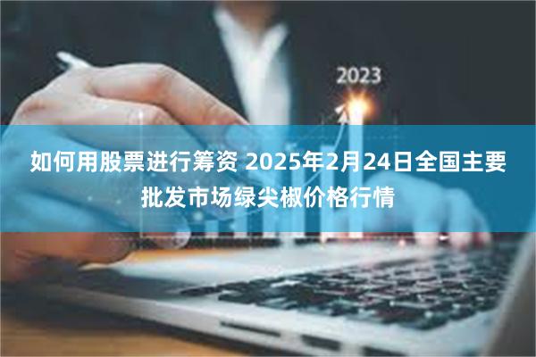 如何用股票进行筹资 2025年2月24日全国主要批发市场绿尖椒价格行情