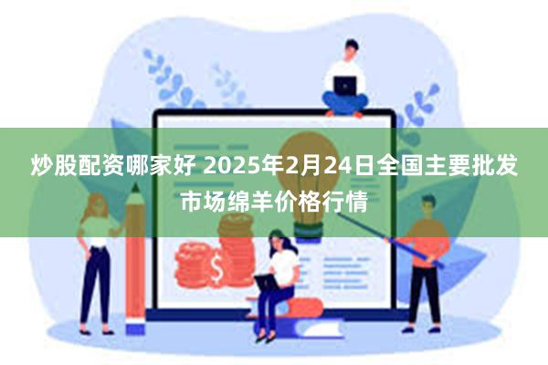 炒股配资哪家好 2025年2月24日全国主要批发市场绵羊价格行情